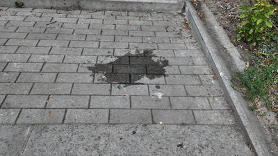 Beaucoup moins d'eau est gaspillée - After